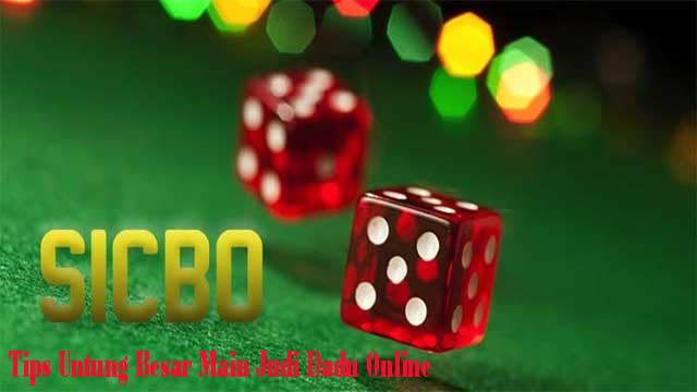 Tips Untung Besar Main Judi Dadu Online